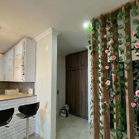 London Home 아파트 *